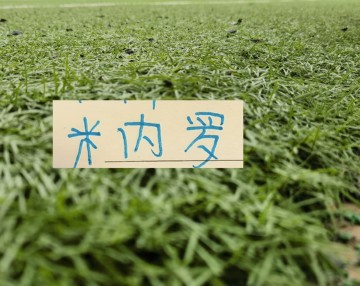 8868-11号米内罗又更新训练照片 去年他可是14场联赛斩获8个球申花米神